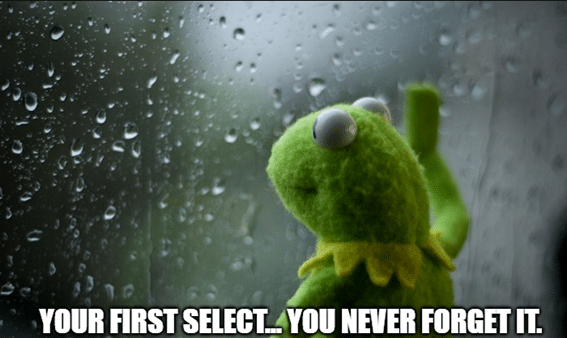 Kermit the Frog staring out a rainy window with the caption: "Your first SELECT... you never forget it."